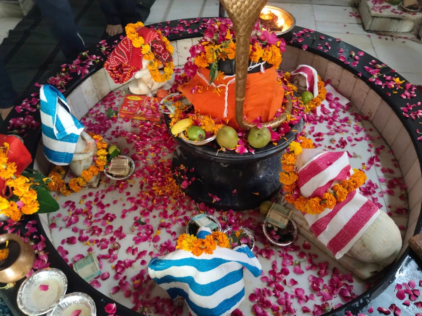 Rudraabhishek4